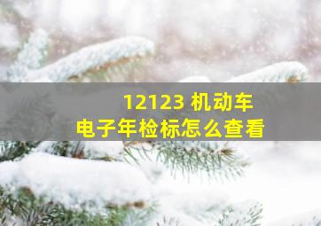 12123 机动车电子年检标怎么查看